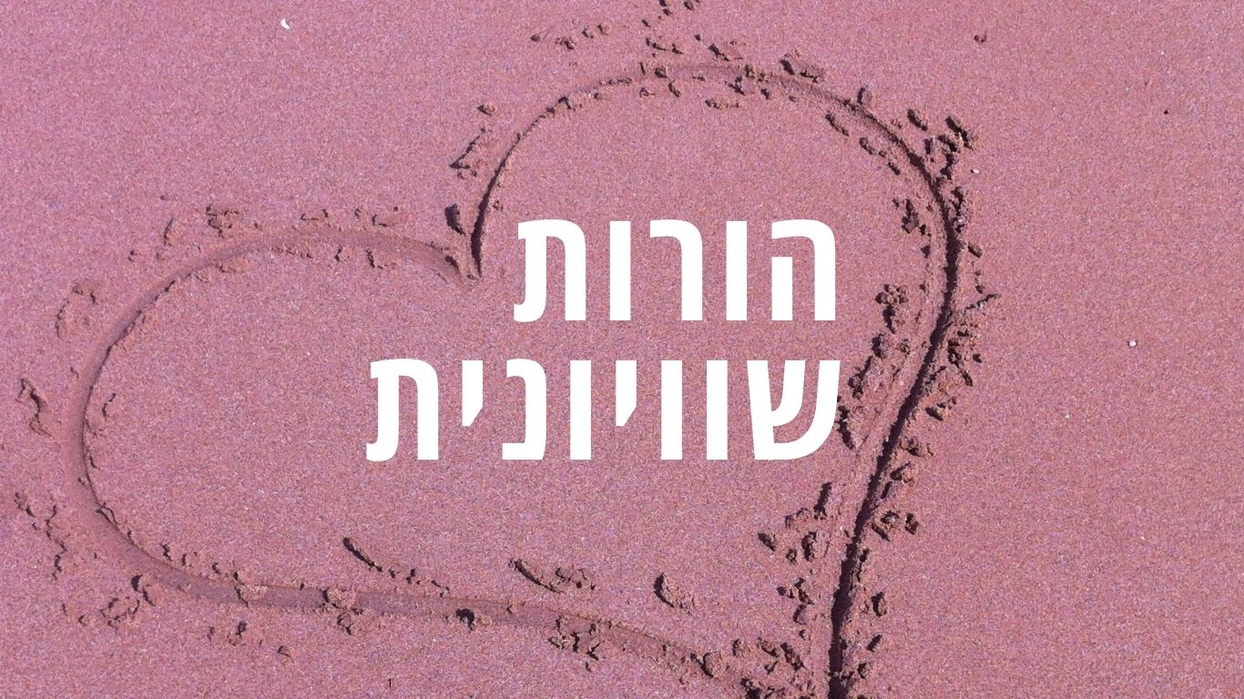 הורות שוויונית (3)